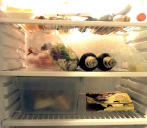 in-the-refrigerator